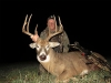 A Gardner Ranch Hunting Success Photograph Featuring
